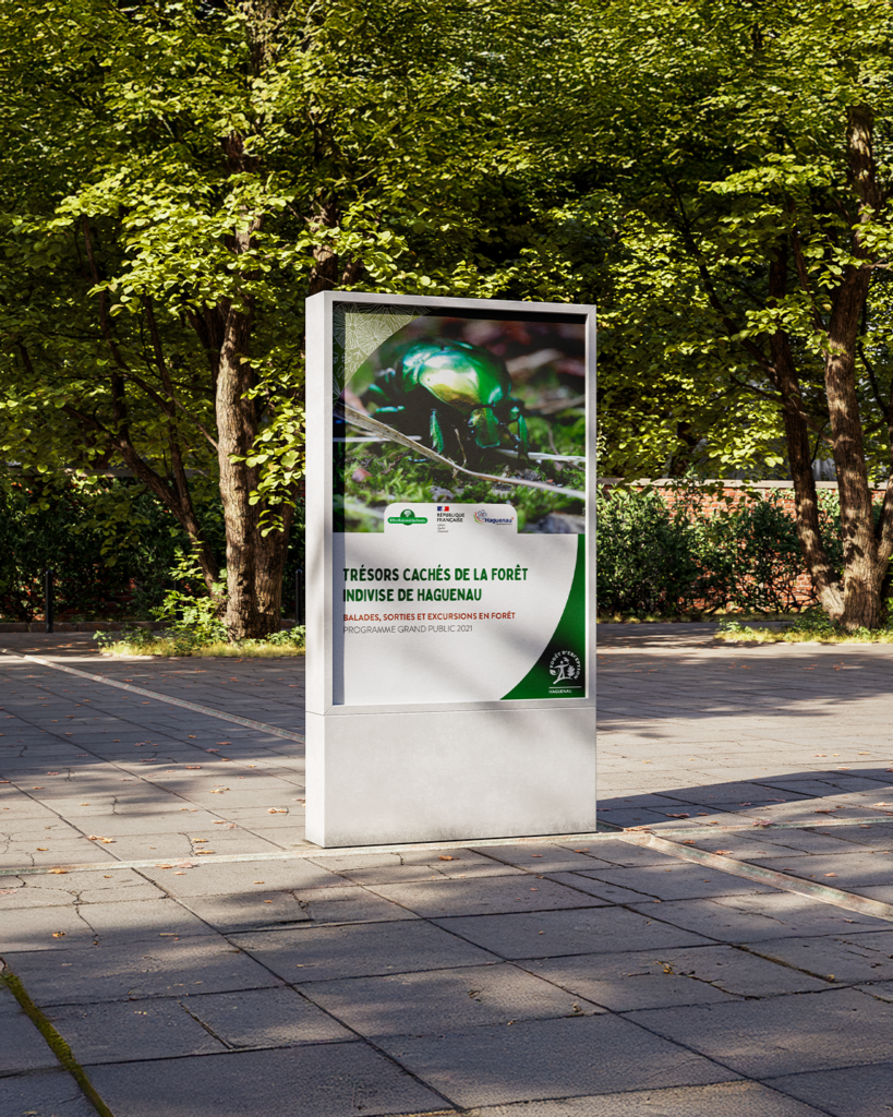 Panneau d'affichage sur les trésors cachés de la forêt indivise de Haguenau, installé en espace public.