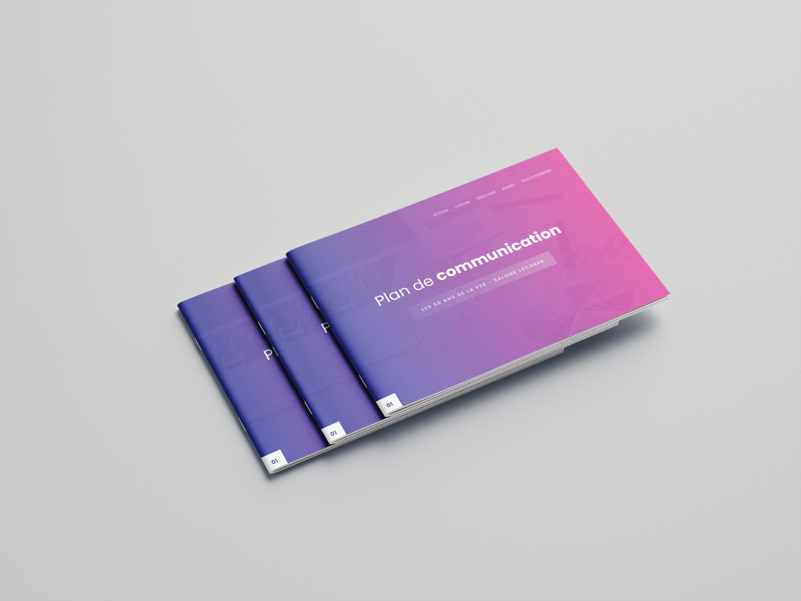 Document de planification stratégique détaillant le pilotage, la coordination et la gestion des prestataires pour un projet d'envergure.