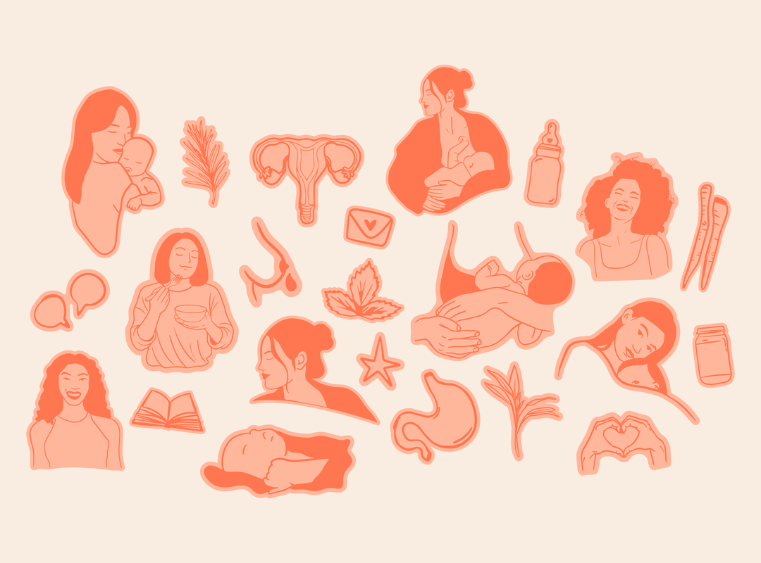 Illustrations organiques Nataora - système graphique identité visuelle nutrition pédiatrique